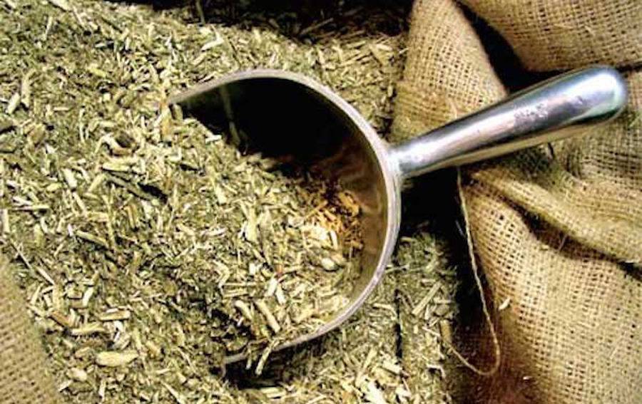 ¡A preparar el tereré! Darán a conocer la historia de la gastronomía paraguaya con yerba mate
