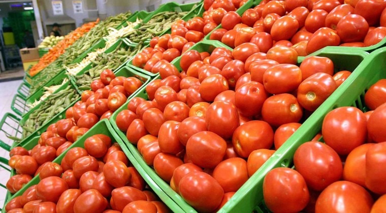 Tomate: Leve reducción del precio es temporal, sostienen