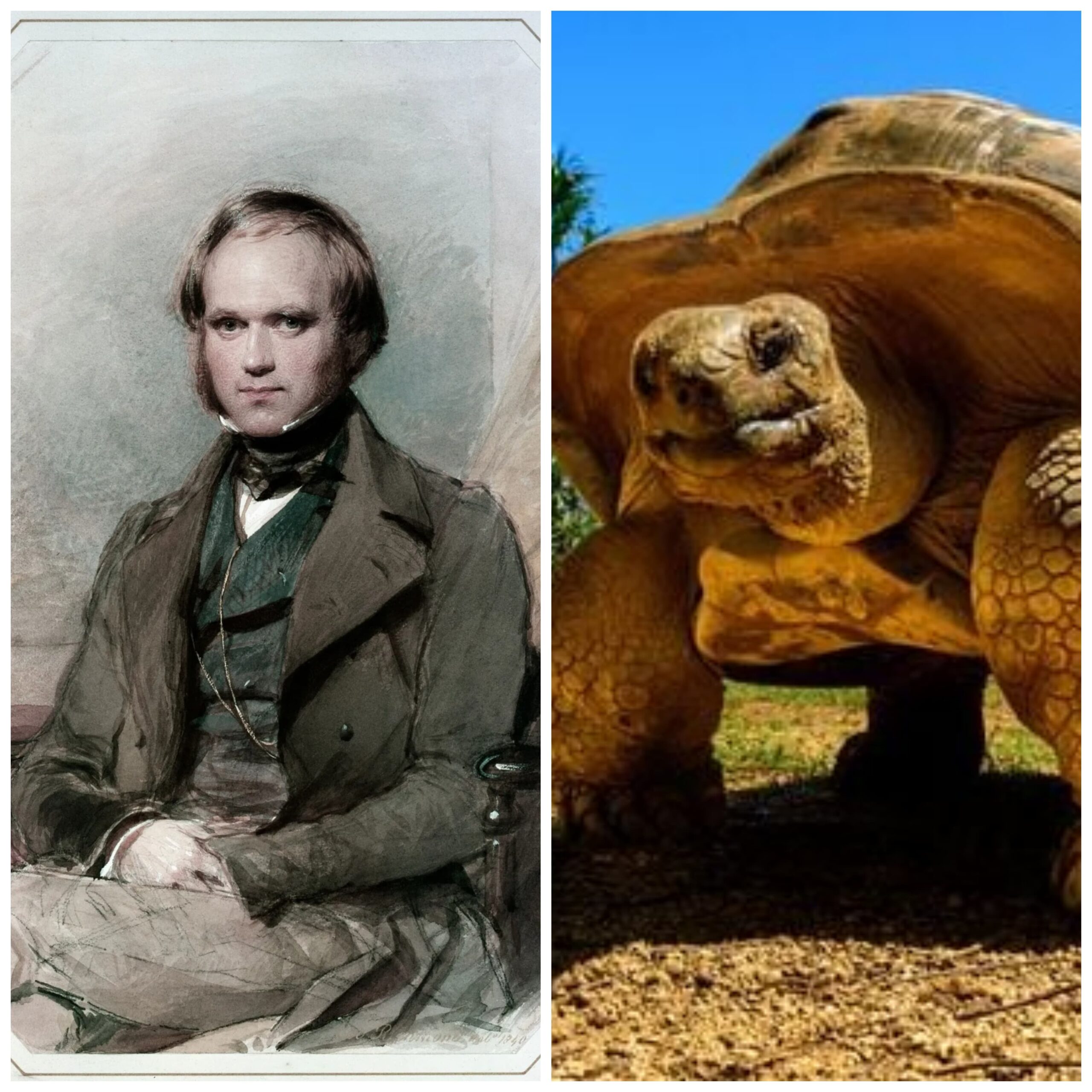 Hace 193 años, Darwin emprendió el viaje que lo llevó a su teoría de la evolución