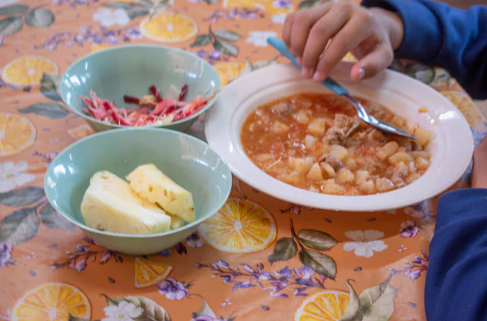 Contraloría revela inconsistencias en programa de alimentación escolar