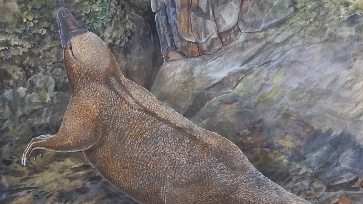 Un fósil revela la sorprendente evolución de los animales más extraños de la Tierra