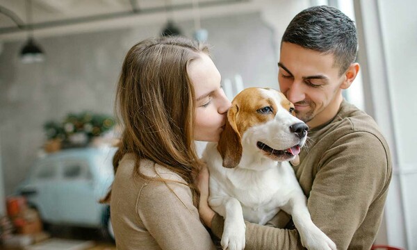 Estudio revela que las mascotas pueden mejorar el bienestar tanto como una pareja