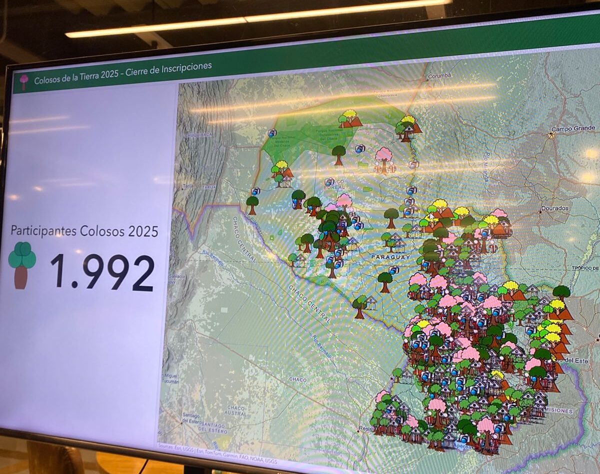 Colosos de la Tierra 2025 registra récord de participación