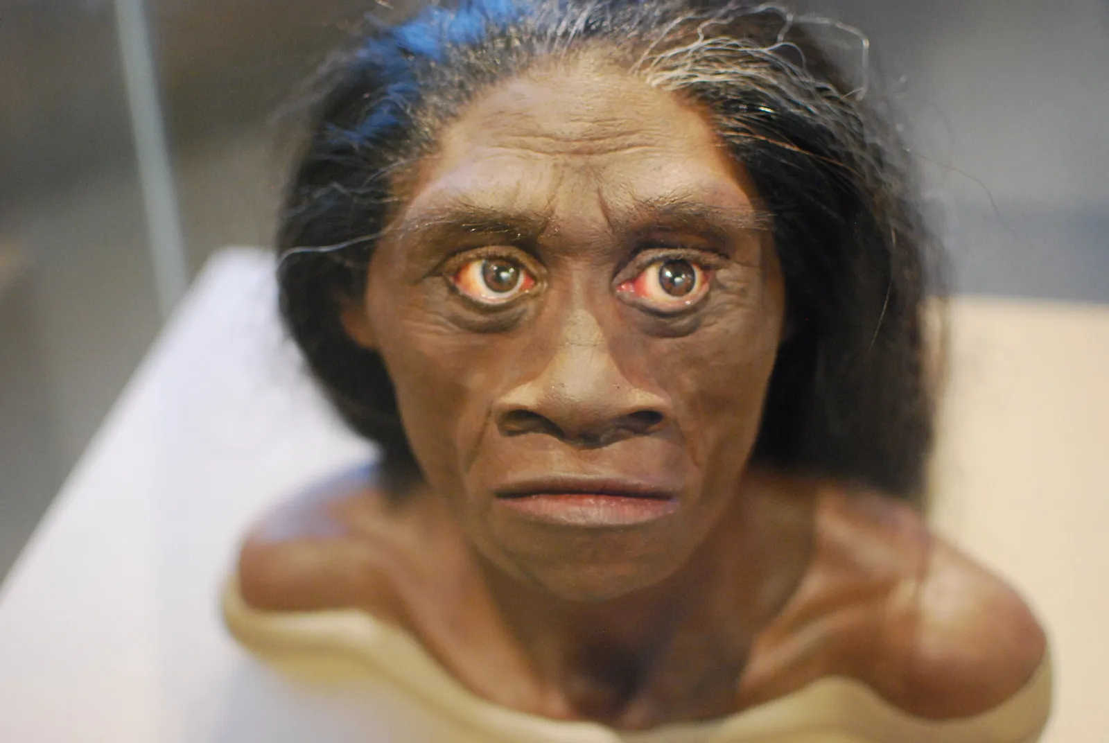 ¿Existió un ser humano del tamaño de un hobbit? Conocé al Homo floresiensis