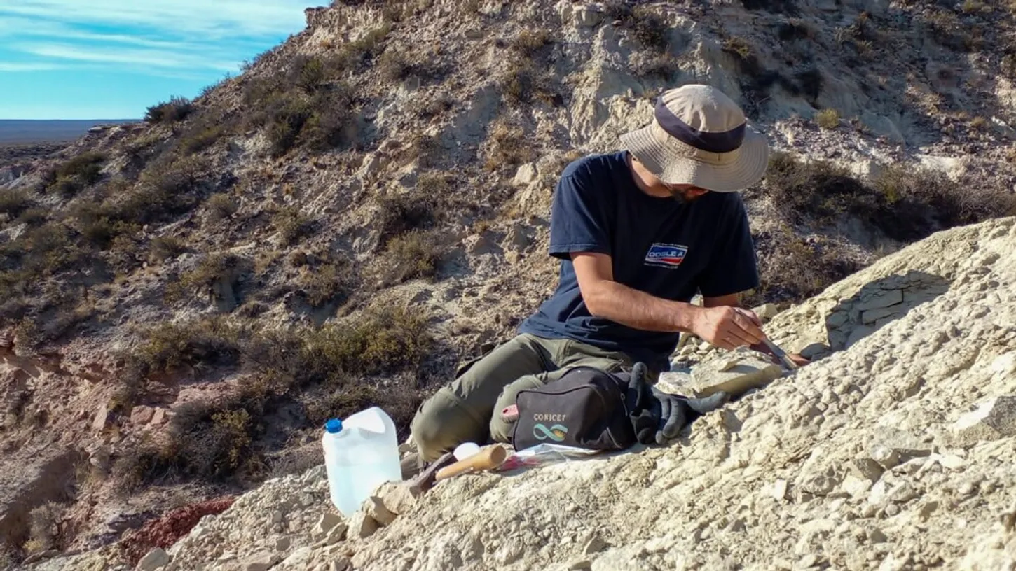 Científico revela cómo se viven los trabajos de descubrir dinosaurios