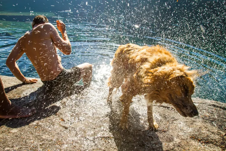 Hábitos que alargan la vida de las mascotas según científicos