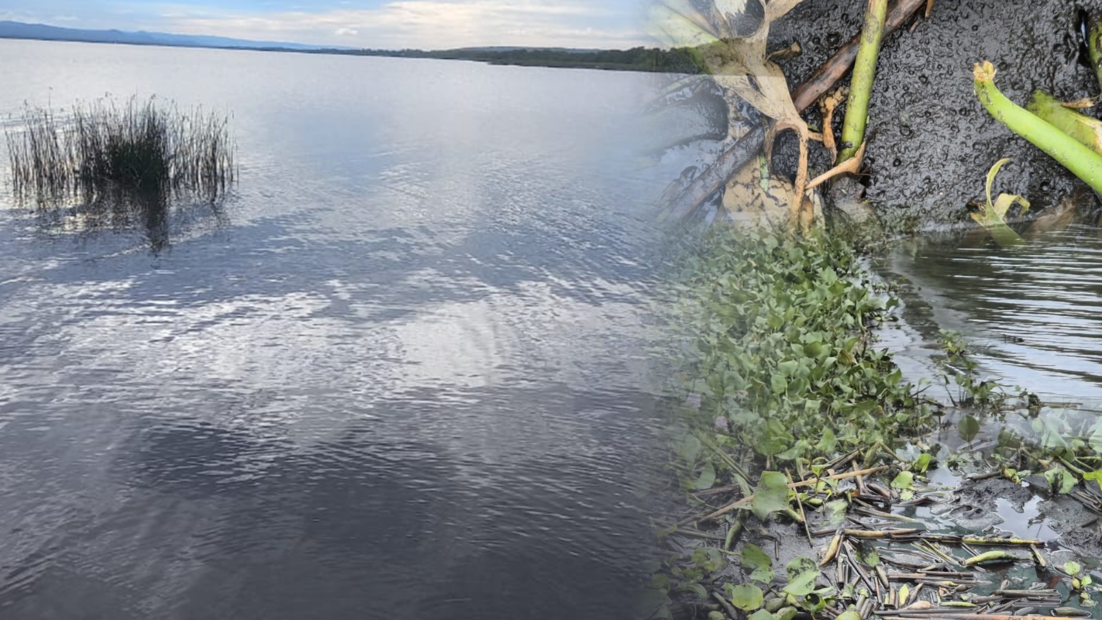 Lago Ypacaraí: un depósito de cloacas a la espera de su recuperación